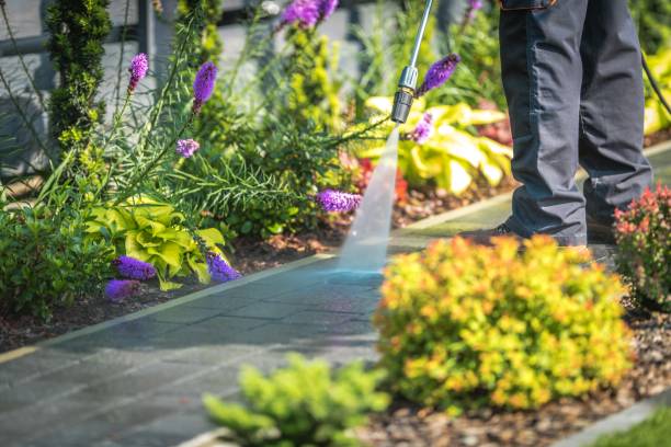 Stepping Stone, CO Pressure Washing Services Company