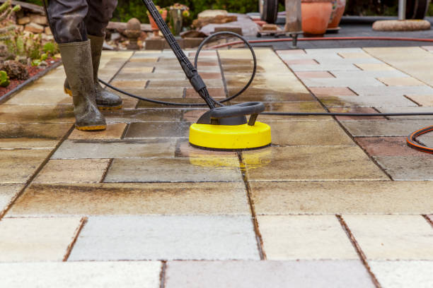 Best Solar Panel Cleaning  in Stepping Stone, CO
